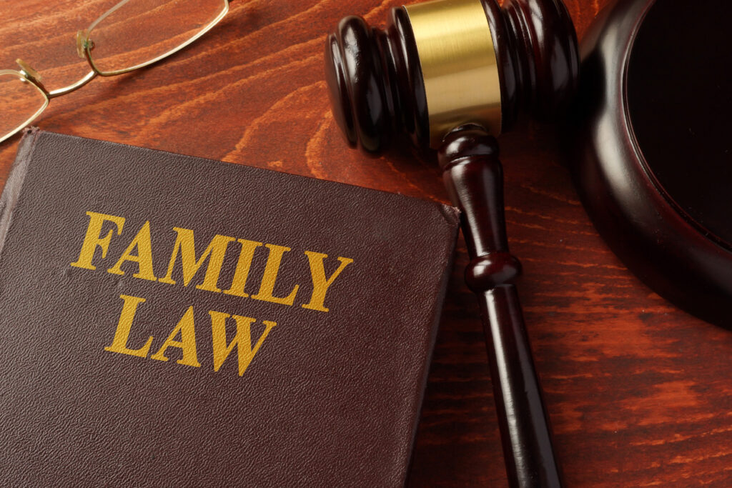 Family Law Lawyer in Waukee, Iowa
