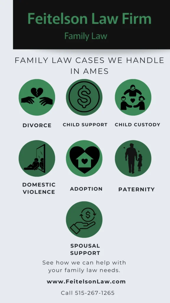 This infographic shows that Family Law Cases We Handle in Ames